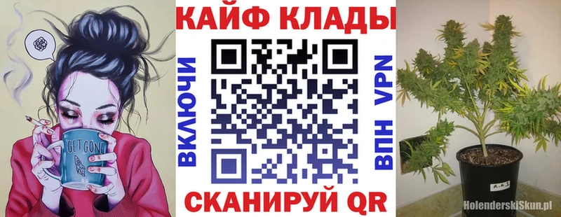 Где купить наркотики Тосно кракен онион  МАРИХУАНА  Псилоцибиновые грибы  ГАШИШ  Меф  СОЛЬ  Кокаин 
