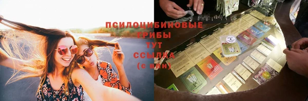 молекула духа Алексеевка