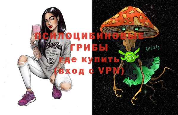 ПСИЛОЦИБИНОВЫЕ ГРИБЫ Алзамай