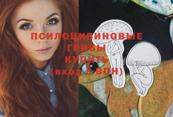 ПСИЛОЦИБИНОВЫЕ ГРИБЫ Алзамай