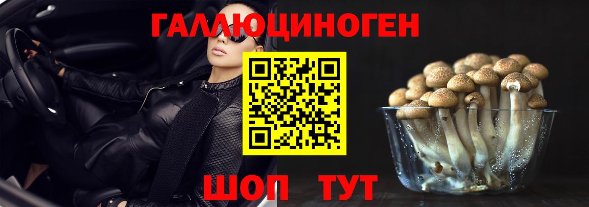 Галлюциногенные грибы GOLDEN TEACHER  Вход с VPN  Тосно 